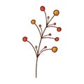 Simple Branch with Small Orange and Red Berries Royalty Free Stock Photo